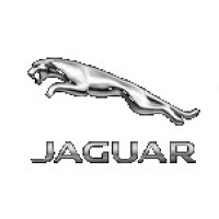 Jaguar 1